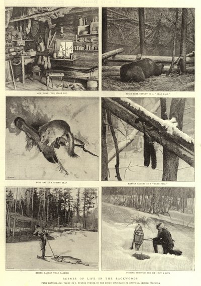 Livets scener i backwoods av English Photographer