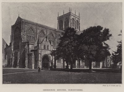 Sherborne Minster, Dorsetshire av English Photographer
