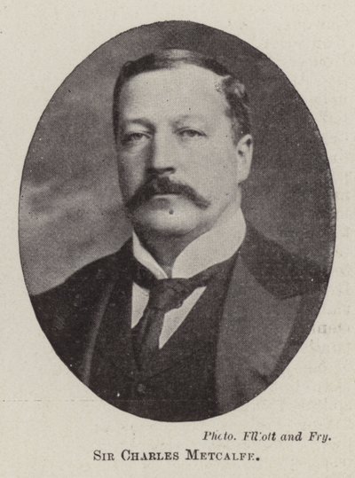 Sir Charles Metcalfe av English Photographer