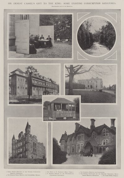 Sir Ernest Cassels Gåva till kungen, vissa befintliga konsumtionssanatorier av English Photographer