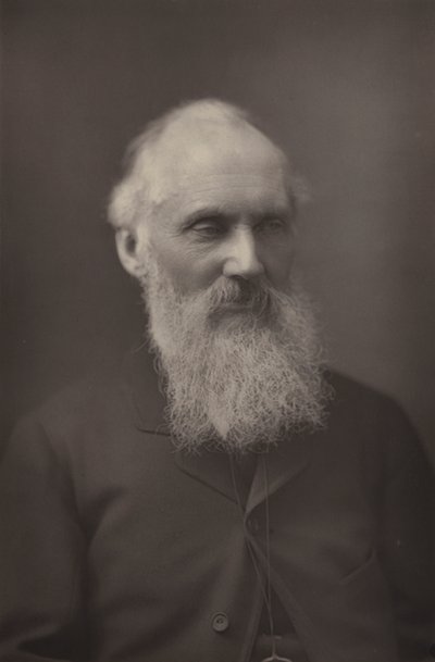 Sir William Thomson av English Photographer