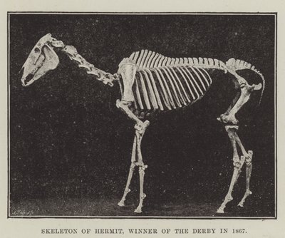 Eremitens skelett, vinnare av Derbyt 1867 av English Photographer
