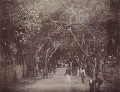 Skinners Road, Colombo (färgad bild) av English Photographer