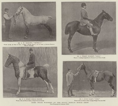 Några pristagare på Royal Dublin Horse Show av English Photographer
