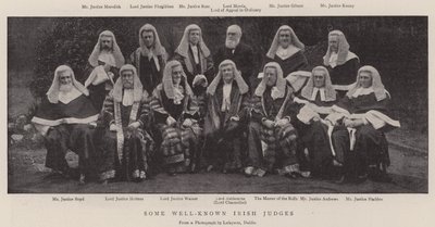 Några välkända irländska domare av English Photographer