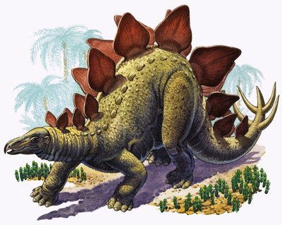 Stegosaurus (gouache på papper) av English Photographer