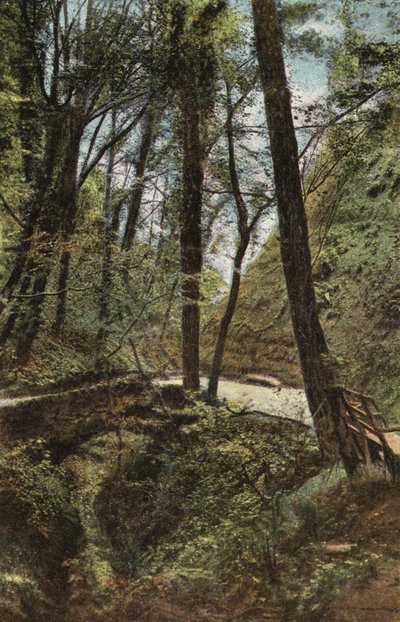 Stenbron i Shanklin Chine av English Photographer