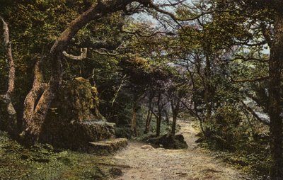 Stone Seat, Jordslipan av English Photographer