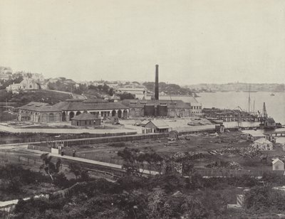 Sunlight Soap Companys Works, nära Sydney av English Photographer