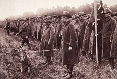 Anzac-recensionen på Salisbury Plain: en australisk maskot, illustration från The Illustrated War News, 27 september 1916 (sepiafoto) av English Photographer