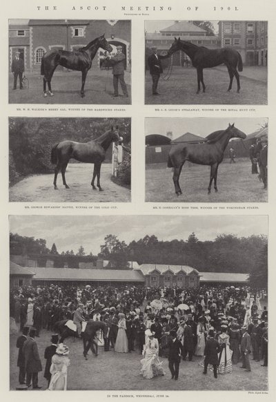 Ascotmötet 1901 av English Photographer