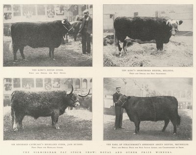 Birmingham Fat Stock Show, Royal och andra pristagare av English Photographer