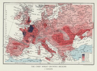 De viktigaste veteodlande regionerna, Europa (foto) av English Photographer