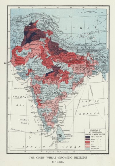 De främsta veteodlande regionerna, Indien (foto) av English Photographer