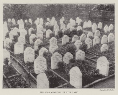The Dogs Cemetery i Hyde Park av English Photographer