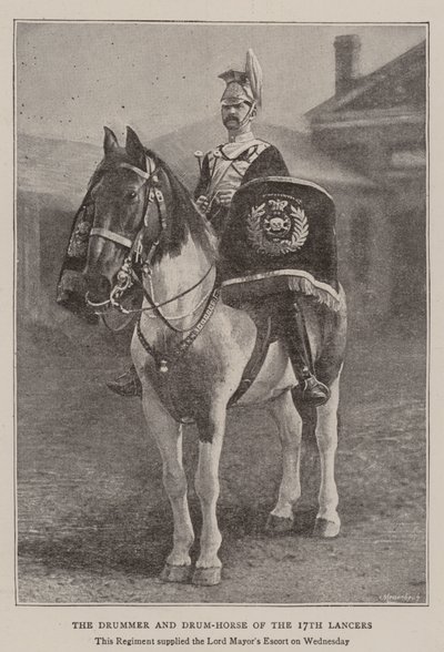 17th Lancers trummis och trumhäst av English Photographer