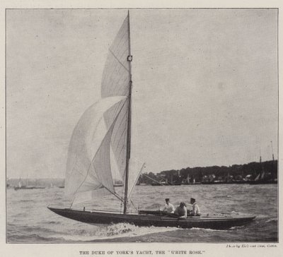 Duke of Yorks Yacht, den vita rosen av English Photographer