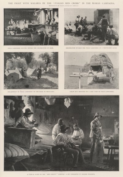 Kampen mot malaria av Italienska Röda Korset i den romerska Campagna av English Photographer
