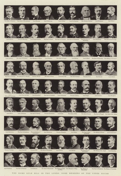 The Home Rule Bill i Lords, Some Members of the Upper House av English Photographer