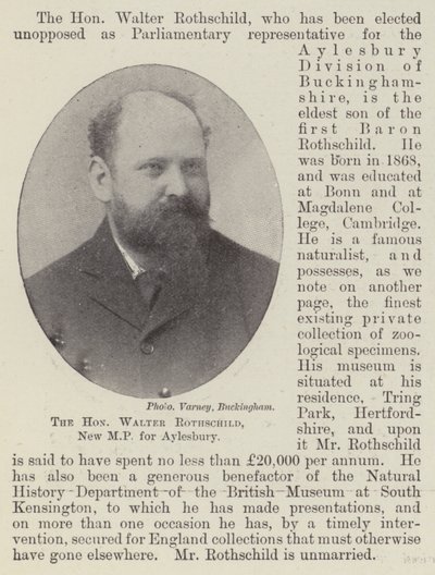 Den ärade Walter Rothschild, ny MP för Aylesbury av English Photographer
