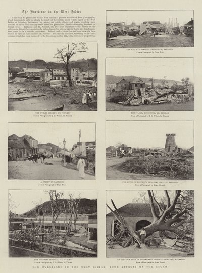 Orkanen i Västindien, några effekter av stormen av English Photographer