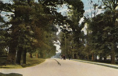 The Long Avenue, Coventry av English Photographer