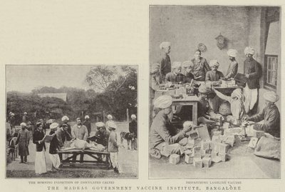 Madras Government Vaccine Institute, Bangalore av English Photographer