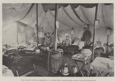 Portland Hospital, Rondebosch, avdelning nr 9, två av de sårade på denna avdelning är australiensare av English Photographer
