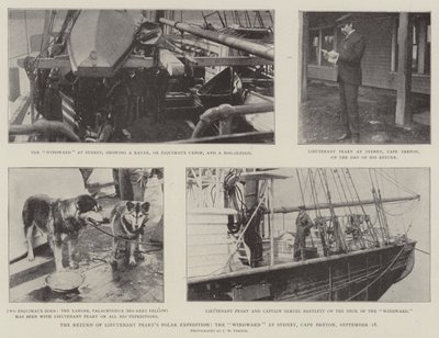 The Return of Lieutenant Pearys Polar Expedition, Windward i Sydney, Cape Breton, 18 september av English Photographer