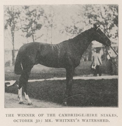 Vinnaren av Cambridgeshire Stakes, 30 oktober, Mr Whitneys Watershed av English Photographer