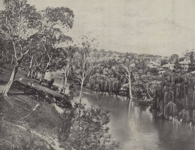 Yarra vid Studley Park av English Photographer