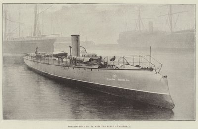 Torpedbåt nr 79, med flottan vid Spithead av English Photographer