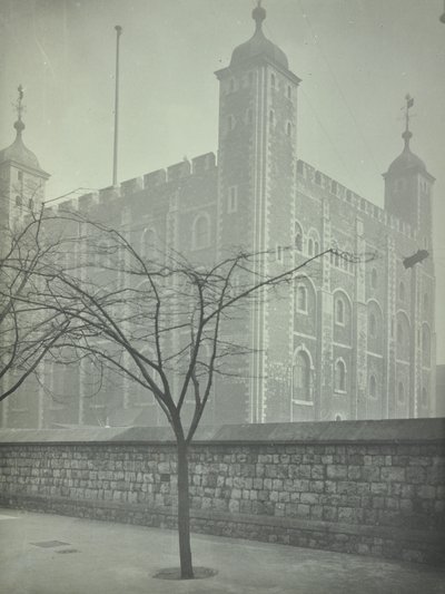 Tower of London, Tower Hill: White Tower, 1899 av English Photographer