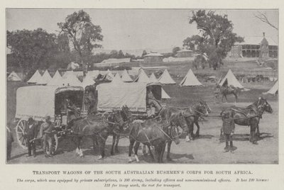 Transportvagnar från South Australian Bushmens Corps för Sydafrika av English Photographer