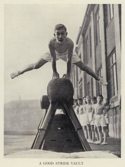 Vaulting: Ett bra stegvalv (s/v foto) av English Photographer