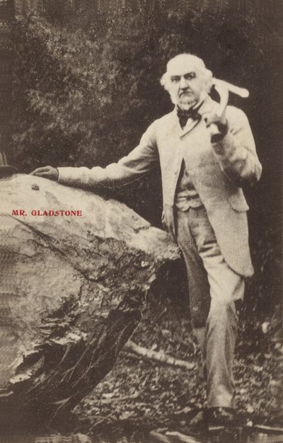 William Ewart Gladstone av English Photographer