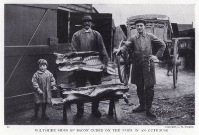 Wiltshire Seiten von Speck, auf dem Bauernhof in einem Nebengebäude gepökelt von English Photographer