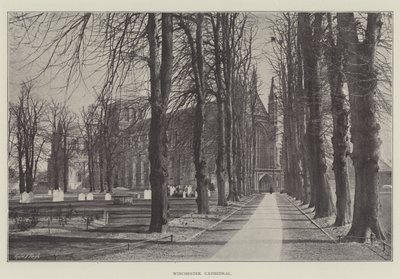 Winchester Cathedral av English Photographer