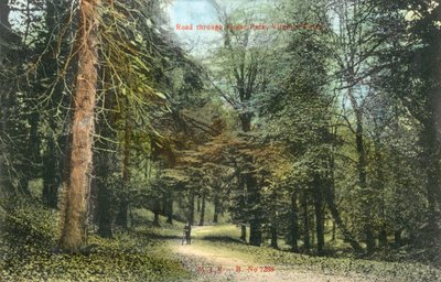 Windsor Great Park, Virginia Water (färgfoto) av English Photographer
