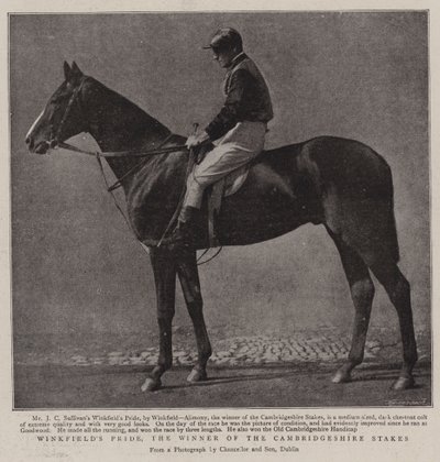 Winkfields Pride, vinnaren av Cambridgeshire Stakes av English Photographer