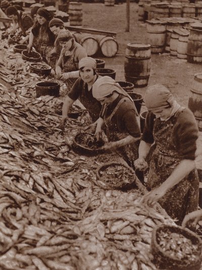 Kvinnor i Great Yarmouth klyver och rensar sill (svartvitt foto) av English Photographer