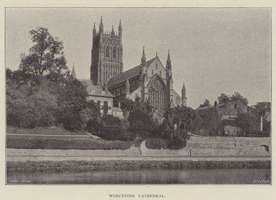 Worcesters katedral av English Photographer