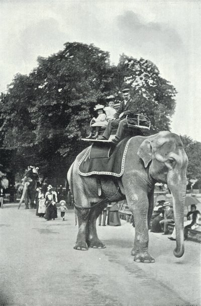 Zoologiska trädgårdar, barn som rider på elefanterna (s/v foto) av English Photographer