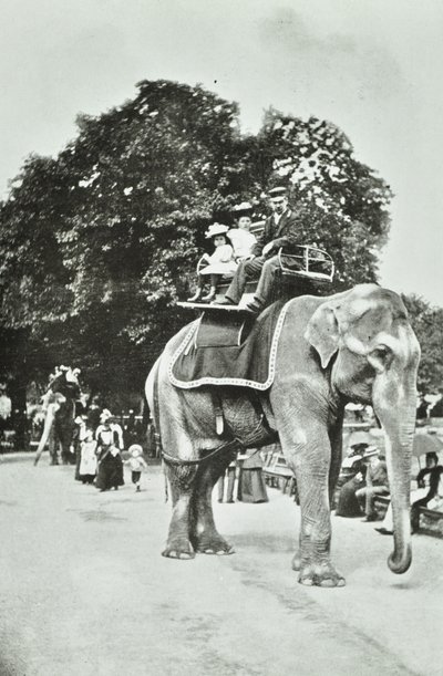 Zoological Gardens, Regents Park: elefantridning, London, ca 1895 av English Photographer