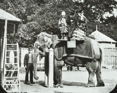 Zoological Gardens, Regents Park: elefant med vuxna och barn på en tur, London Zoo, 1894 av English Photographer