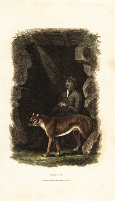 Engelsk gentleman från 1700-talet och hans tama varg, Canis lupus, i ingången till en grotta av English School