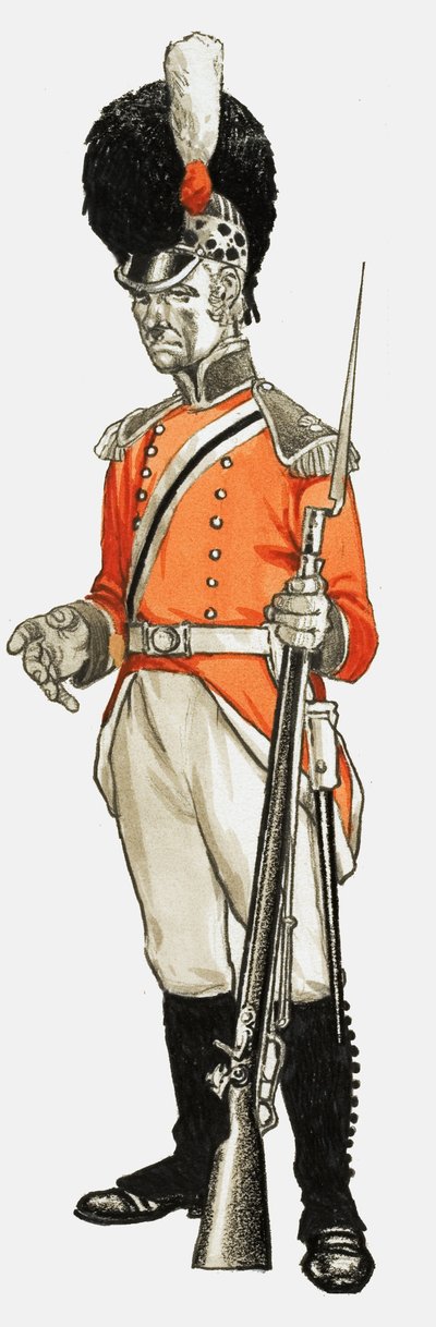 92:a. Hon. Artillery Co. Infanteridivisionen, menig 1803 av English School