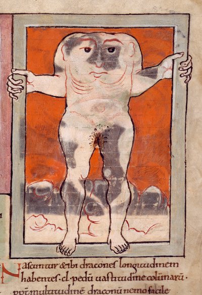 A Blemmyae, illustration från "Marvels of the East" (vellum) av English School