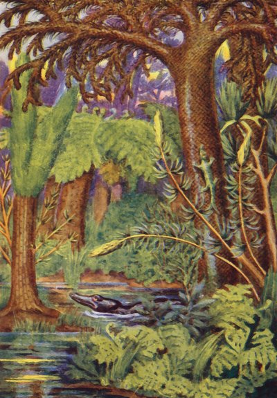 En kolskog (färglitografi) av English School