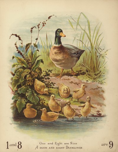 En anka och åtta ankungar (chromolitho) av English School